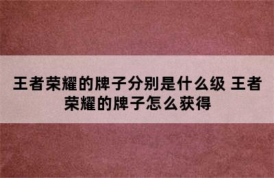 王者荣耀的牌子分别是什么级 王者荣耀的牌子怎么获得